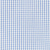 017 BD - Blue Graph Check Button Down Collar Cooper and Stewart