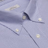 074 TF BD - Blue Double Line Stripe Tailored Fit Button Down Collar Cooper and Stewart